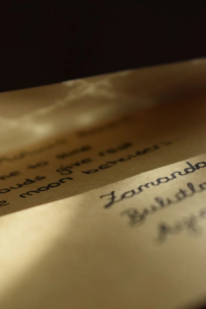 A handwritten letter illuminated by warm natural light.