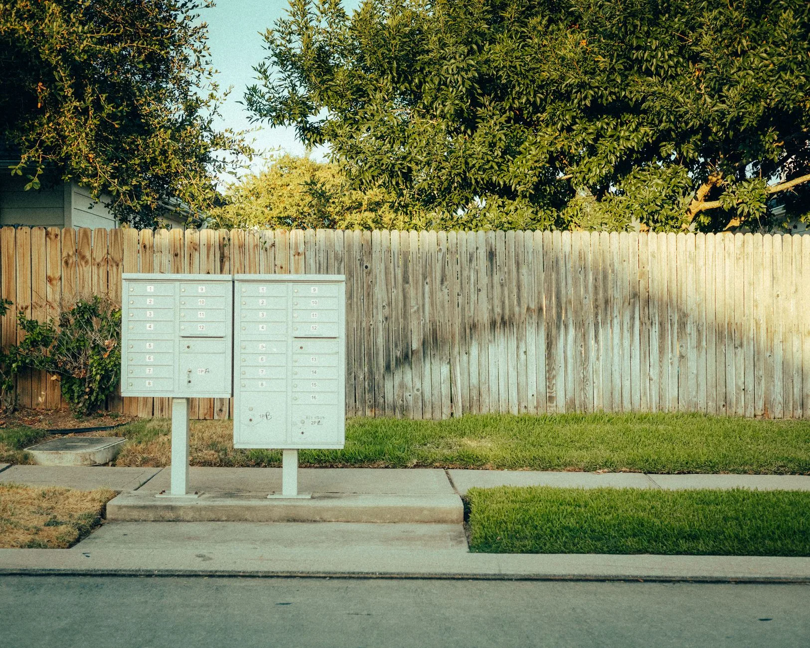 Rows of mailboxes in a suburban neighborhood with a wooden fence.