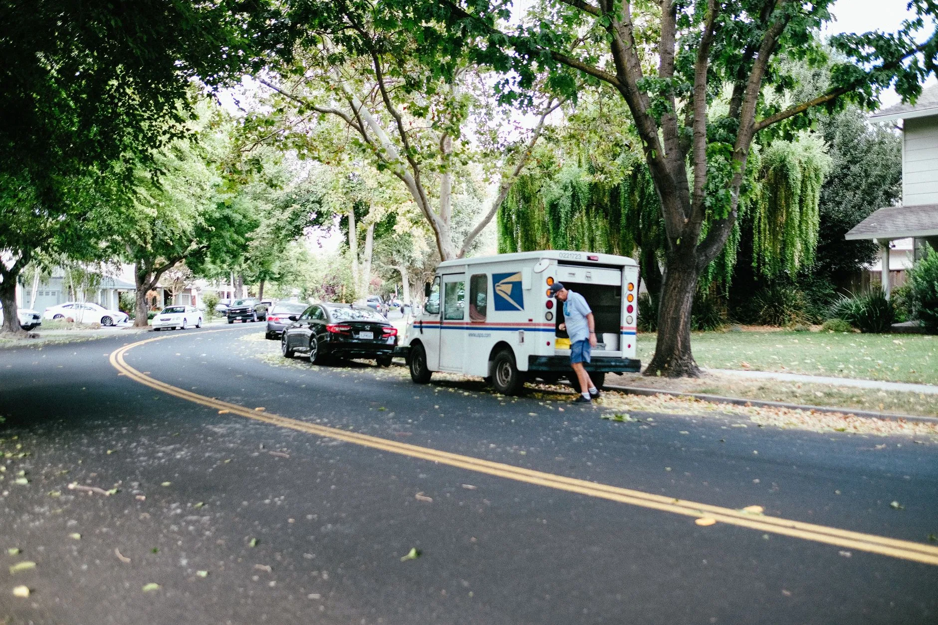 A mail carrier retrieving packages from a USPS van on a tree-lined street.