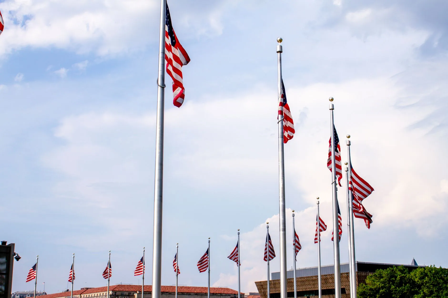 A row of American flags flying high on flagpoles.
