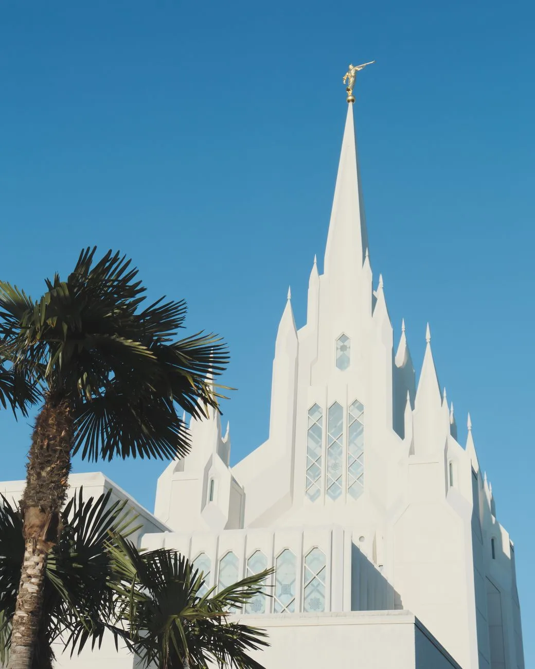 The white spires of an LDS temple framed by palm trees against a clear blue sky.