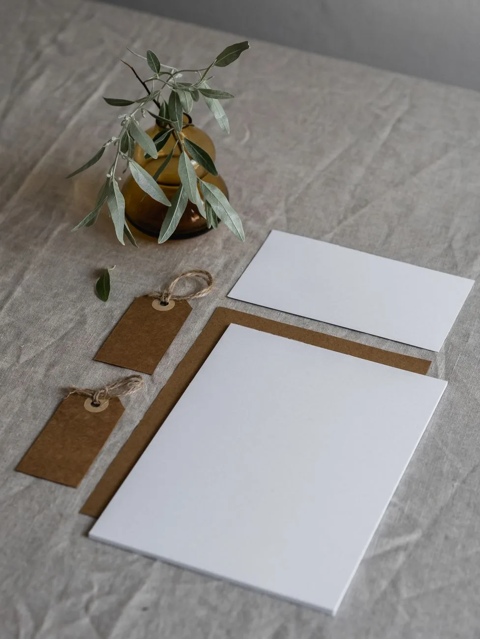 Blank stationery and an olive branch styled as a mockup.
